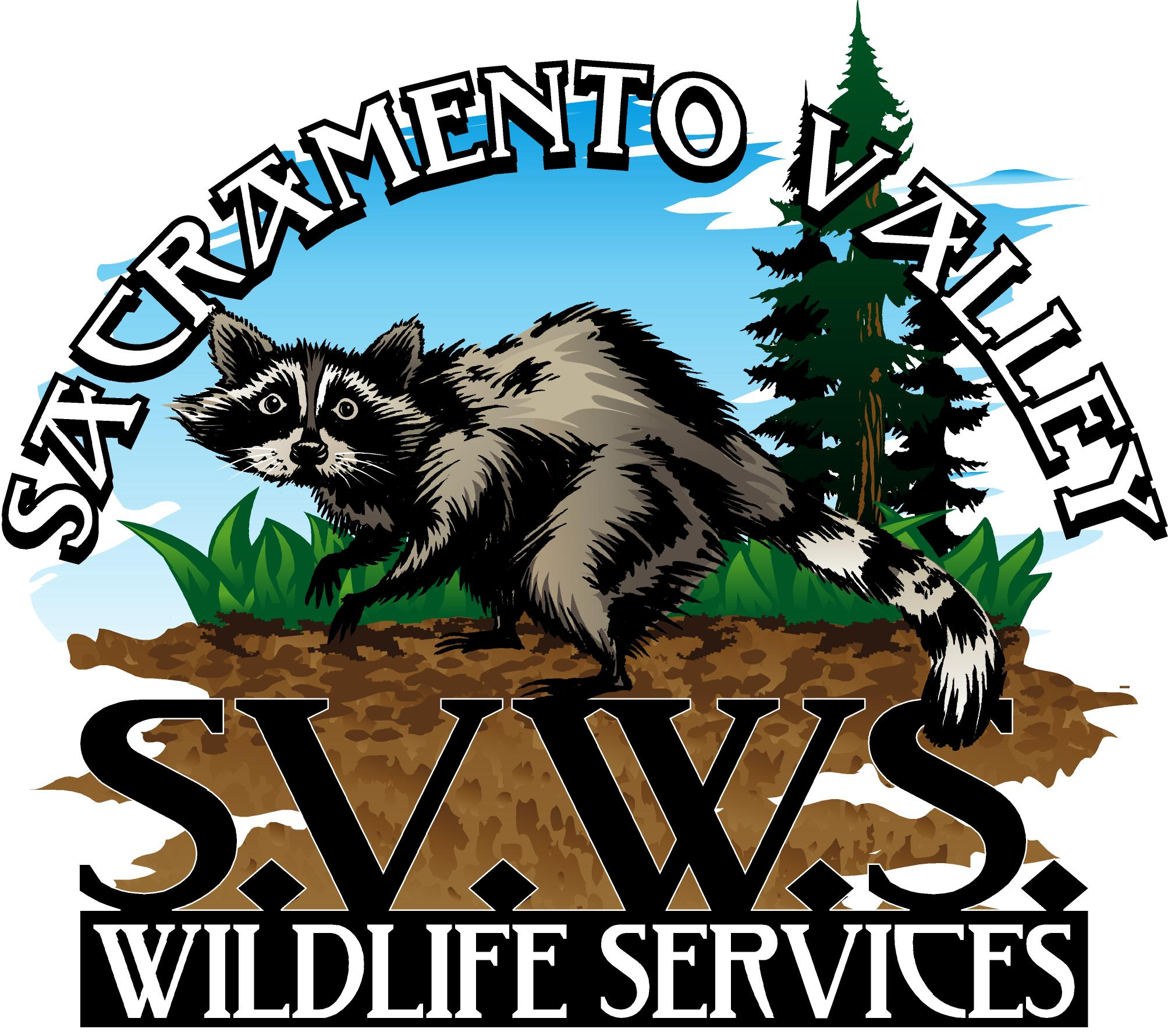 <!--Site Name-->EcoWild Skunk, Squirrel, and Raccoon Removal<!--endSite Name-->